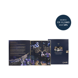 DREAMS EXPRESS ADVENT CALENDAR